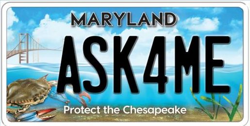 chesapeake-bay-license-plate